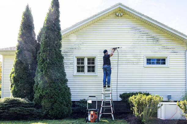 Best Residential Pressure Washing Services  in Creston, IA