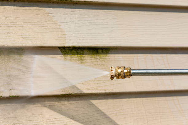 Best Exterior Home Cleaning  in Creston, IA